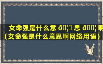 女命强是什么意 🦟 思 🐦 啊（女命强是什么意思啊网络用语）